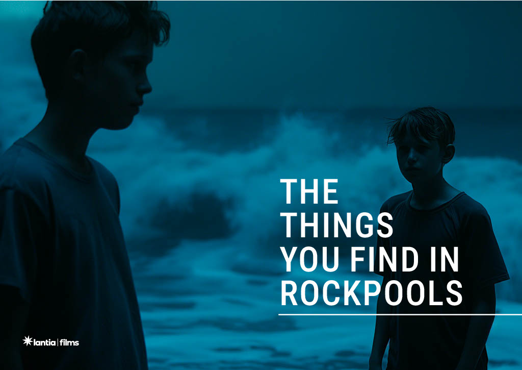 The Things you find in Rockpools